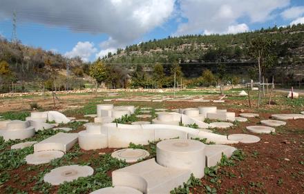 משחקים בשדה תלם. צילום: יעקב שקולניק, ארכיון הצילומים של קקל