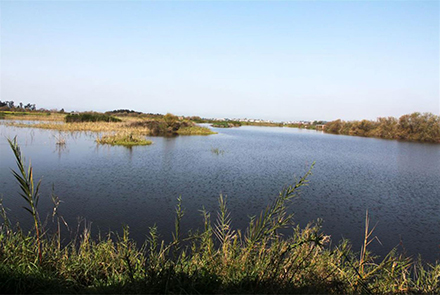 אגמון חפר. בואו בעונות הנדידה. צילום: יעקב שקולניק
