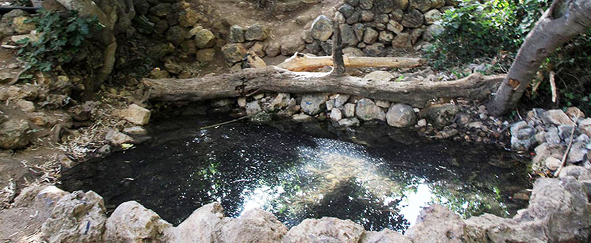 לשכשך מתחת לעץ התאנה: בריכת עין מטע. צילום: יעקב שקולניק, ארכיון הצילומים של קקל