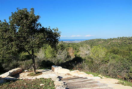 תצפית לים התיכון מפינת העקורים. צילום: יעקב שקולניק
