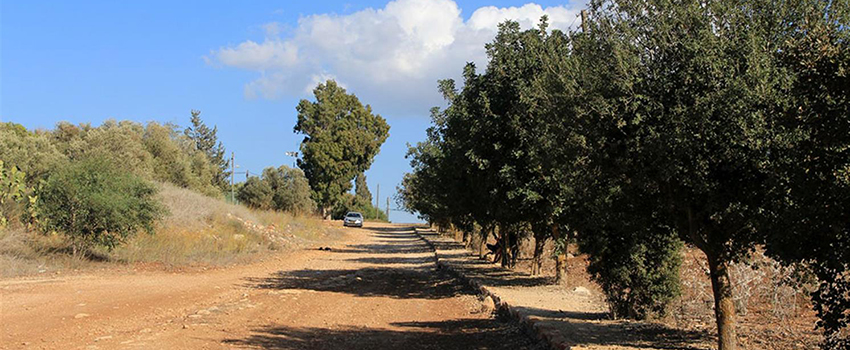 גן מקלט לצמחים נדירים בשביל קקל אילניה. צילום: יעקב שקולניק