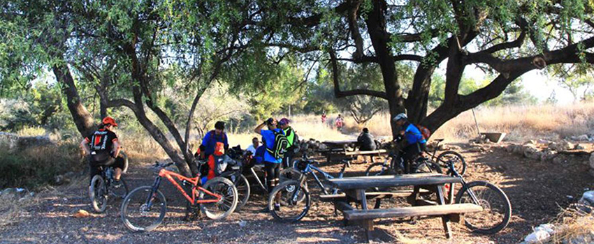 חניון השיזף הגדול. פינת צל שקטנה ואינטימית. צילום: יעקב שקולניק, ארכיון הצילומים של קקל