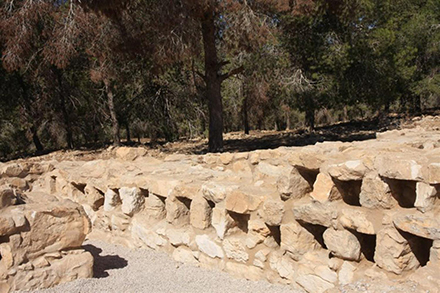 קולומבריום לגידול יונים. צילום: יעקב שקולניק, ארכיון הצילומים של קק"ל