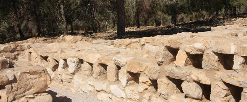 קולומבריום לגידול יונים, שונה ומיוחד במינו. צילום: יעקב שקולניק