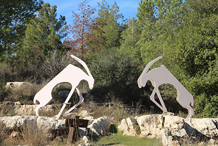 יעלים, שיצרה יעל שגב, ביער המכללות. צילום: יעקב שקולניק
