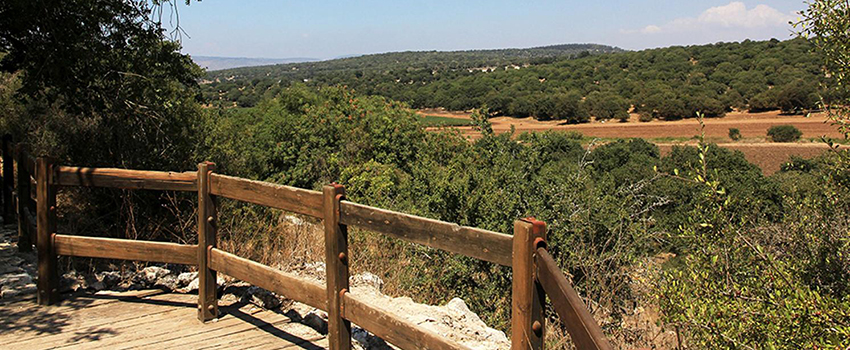 נקודת תצפית על הסביבה מסיפון העץ שנמצא בפתח המערה. צילום: יעקב שקולניק