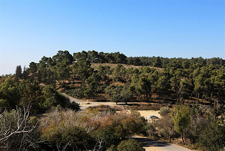 תל צרעה כפי שנשקף מנקודת התצפית במצפה צרעה. צילום: יעקב שקולניק, ארכיון הצילומים של קק"ל