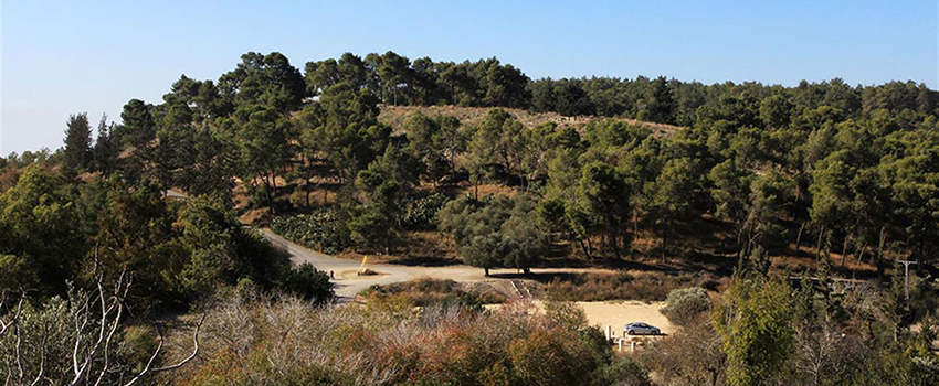 הולכים עם שמשון הגיבור. תל צרעה כפי שנשקף מנקודת התצפית במצפה צרעה. צילום: יעקב שקולניק
