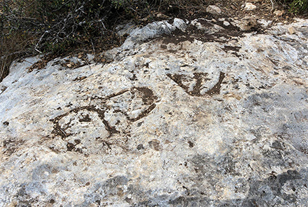 אבן השבת המרשימה. צילום: יעקב שקולניק
