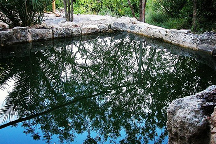 עין תמר. צילום: יעקב שקולניק, ארכיון הצילומים של קק"ל