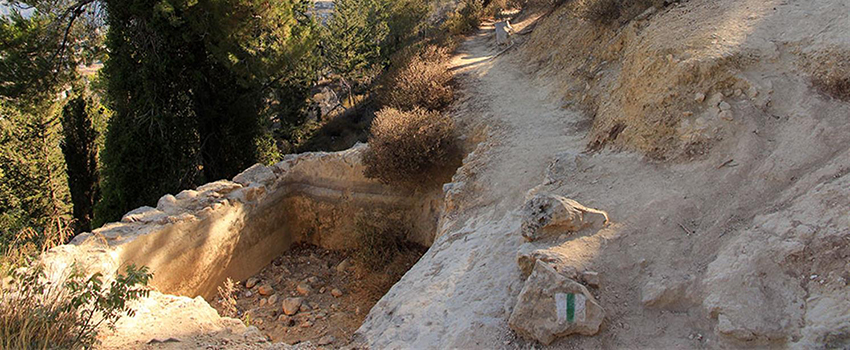 בריכה שכבר יבשה ליד עינות עמינדב. צילום: יעקב שקולניק, ארכיון הצילומים של קקל