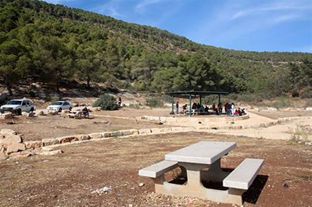 פארק אל-פשארה. צילום: יעקב שקולניק, ארכיון הצילומים של קק"ל