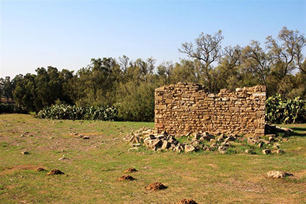 שרידי בית ישן בחורבת מדור. צילום: יעקב שקולניק
