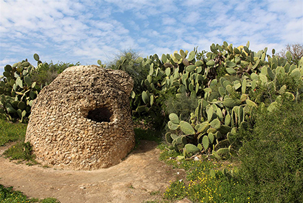 בור מים מהתקופה הביזאנטית ליד שיחי הסברס. צילום: יעקב שקולניק, ארכיון הצילומים של קק"ל