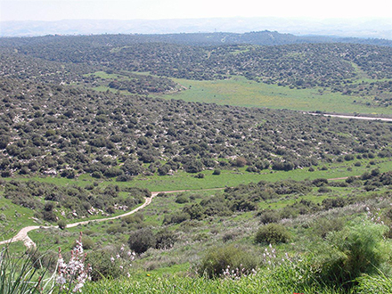 שווה לטפס! נוף נהדר מתל גדיד. צילום: יעקב שקולניק, ארכיון הצילומים של קקל
