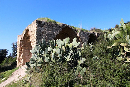 חורבת שמרי – מבנה קדום עם שתי כיפות. צילום: יעקב שקולניק, ארכיון הצילומים של קקל
