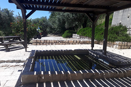 בריכת השכשוך בפארק עמק התכלת. צילום: מיטל קציר