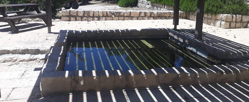 בריכת השכשוך. מוצל ונעים בפארק עמק התכלת. צילום: מיטל קציר