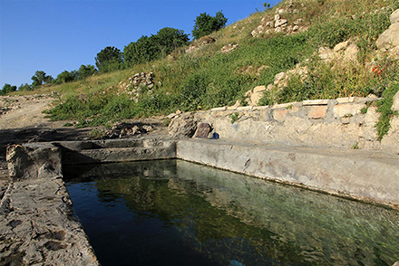 עין אל-בלד. החברים השקיעו בשיקום הבריכה. צילום: יעקב שקולניק, ארכיון הצילומים של קקל

