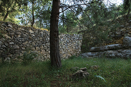 מתחת למעיין המרכזי נמצאת הטרסה הגדולה. צילום: יעקב שקולניק, ארכיון הצילומים של קקל
