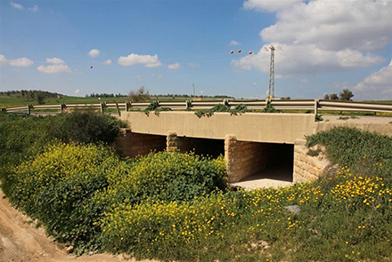 גשר דבמבם, ממש בכניסה לדרך הנוף. צילום: יעקב שקולניק, ארכיון הצילומים של קקל
