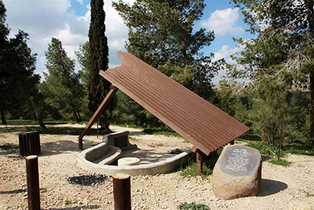 האנדרטה המרשימה לזכרו של נעם רוזנטל, שאהב לבוא לכאן עם חברים. צילום: יעקב שקולניק, ארכיון הצילומים של קקל
