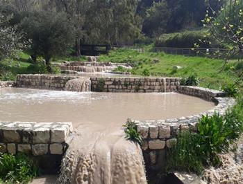 אחרי הגשם: הבריכות התחתונות בחורף. צילום: אבישי תמוז-כהן
