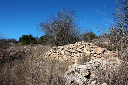 עצי שקד לאורך הדרך ליד חורבת דרבן. צילום: יעקב שקולניק, ארכיון הצילומים של קקל
