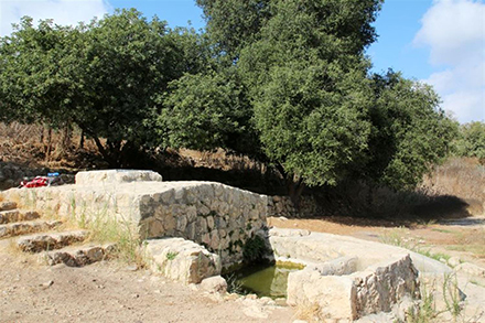 עין חוד. נובע למרגלות בית עטאב. צילום: יעקב שקולניק, ארכיון הצילומים של קקל
