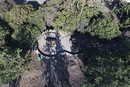 חניון האלות. צילום: כאמל עליאן, ארכיון הצילומים של קקל