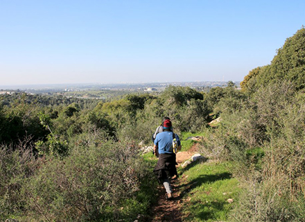 חורש טבע בח'ירבת חפור. צילום: יעקב שקולניק, ארכיון הצילומים של קקל