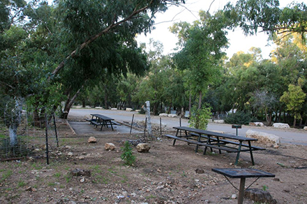 כדאי לבקר וליהנות בחניון נחל עירון ובסביבותיו. צילום: יעקב שקולניק, ארכיון הצילומים של קקל
