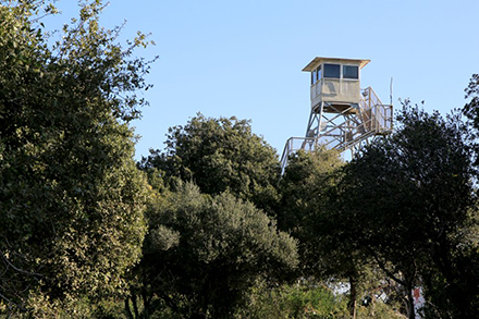 מגדל צופי האש של קקל ביער. צילום: יעקב שקולניק, ארכיון הצילומים של קקל
