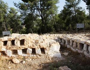 צילום: יעקב שקולניק, ארכיון הצילומים של קקל