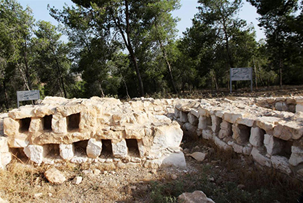 הקולומבריום ביער להב. צילום: יעקב שקולניק, ארכיון הצילומים של קק"ל