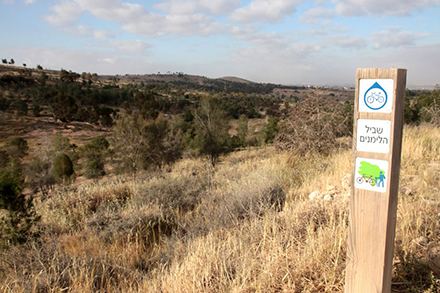 שלט הכוונה בשביל הלימנים. צילום: יעקב שקולניק, ארכיון הצילומים של קק"ל