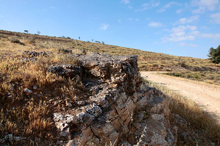 שיעור בגיאולוגיה. סלע הצור בצד הדרך. צילום: יעקב שקולניק, ארכיון הצילומים של קקל
