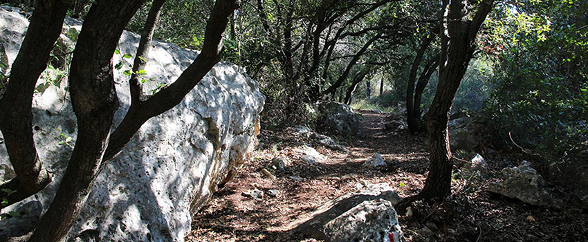 טיול קיצי באווירת מסתורין. צילום: יעקב שקולניק, ארכיון הצילומים של קקל