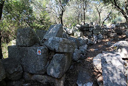 שרידי יישוב מלפני אלפיים שנה בחורבת דנעילה. צילום: יעקב שקולניק, ארכיון הצילומים של קקל