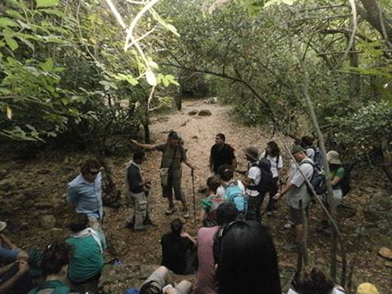 מטיילים בשביל מוצל בנחל בצת. צילום: נעם תמיר