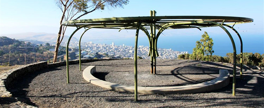 יער שוויץ, מעל הכנרת. צילום: יעקב שקולניק, ארכיון הצילומים של קקל