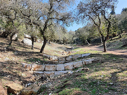 סכרונים בדרך הטמפלרים בקריית טבעון. צילום: פנינה לבנון, ארכיון הצילומים של קק"ל