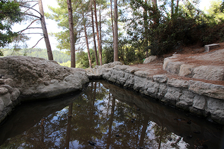 שכשוך נעים. עין כובשים. צילום: יעקב שקולניק, ארכיון הצילומים של קקל