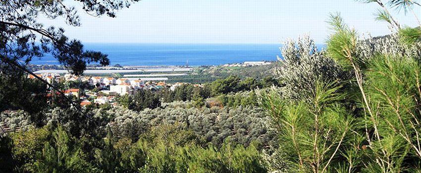 מרחבי הגליל המערבי הנראים מאתר חומה ומגדל ביער חניתה. צילום: יעקב שקולניק, ארכיון הצילומים של קקל