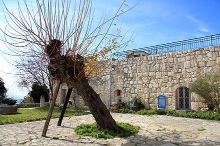 בית האבן בחניתה, כיום מוזיאון חומה ומגדל. צילום: יעקב שקולניק, ארכיון הצילומים של קקל