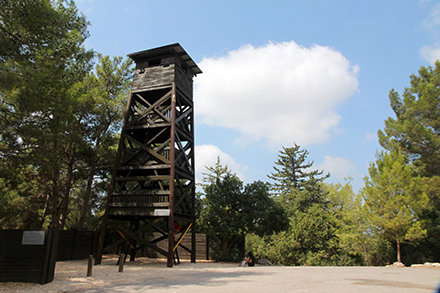 המגדל ביער חניתה - בדיוק כמו המגדל המקורי. צילום: יעקב שקולניק, ארכיון הצילומים של קקל