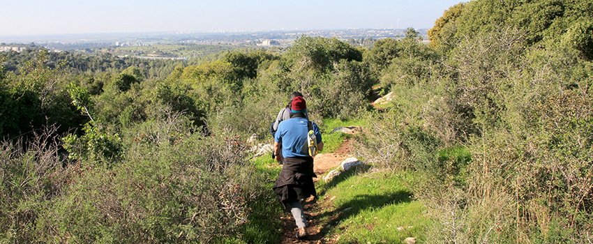 חורש פתוח בשביל חורבת עבאס. צילום: יעקב שקולניק, ארכיון הצילומים של קקל