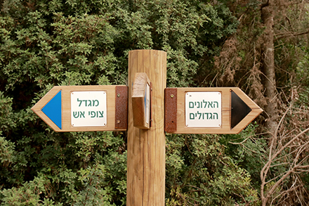 שלט הכוונה בשביל. צילום: יעקב שקולניק, ארכיון הצילומים של קקל