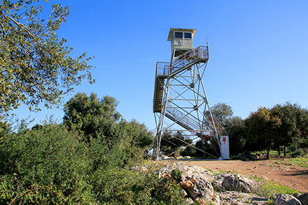 מכאן מנסים לאתר שריפות בקיץ. צילום: יעקב שקולניק, ארכיון הצילומים של קקל