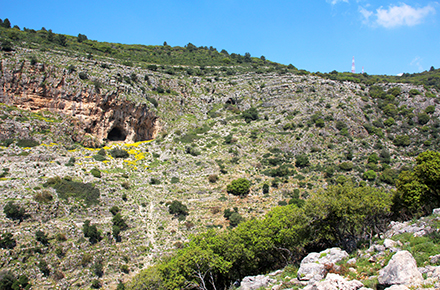 נחל נמר, אחד משני הנחלים שעוברים למרגלות המצוק. צילום: יעקב שקולניק, ארכיון הצילומים של קקל